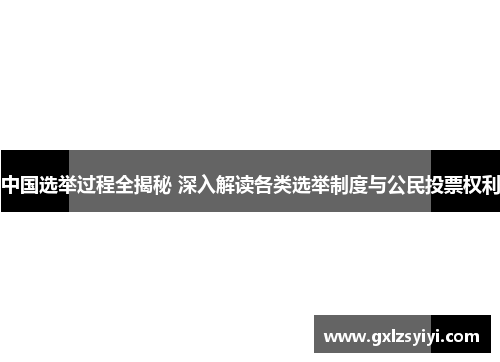 中国选举过程全揭秘 深入解读各类选举制度与公民投票权利