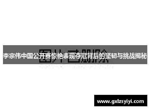 李宗伟中国公开赛惊艳表现夺冠背后的坚韧与挑战揭秘