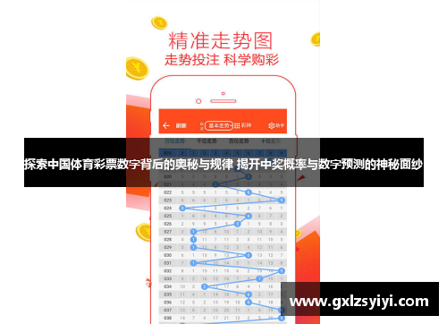 探索中国体育彩票数字背后的奥秘与规律 揭开中奖概率与数字预测的神秘面纱