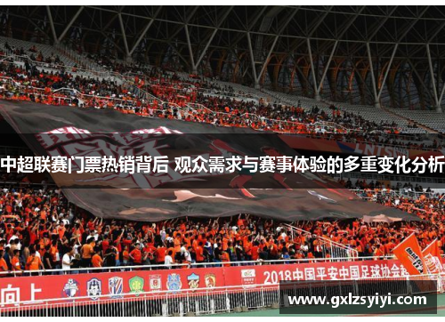 中超联赛门票热销背后 观众需求与赛事体验的多重变化分析