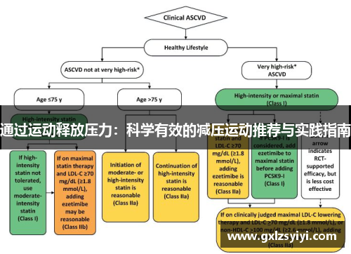 通过运动释放压力：科学有效的减压运动推荐与实践指南