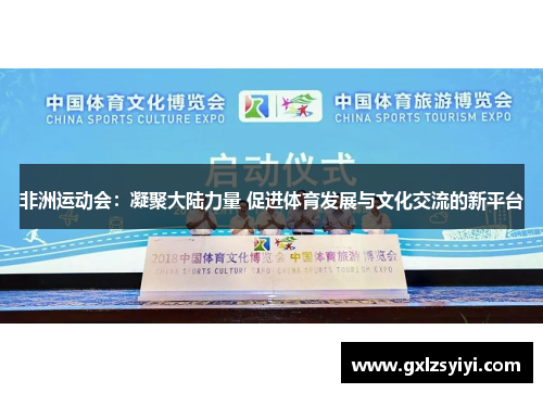 非洲运动会：凝聚大陆力量 促进体育发展与文化交流的新平台