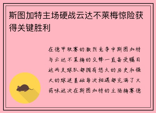 斯图加特主场硬战云达不莱梅惊险获得关键胜利
