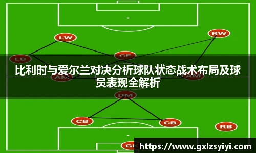 比利时与爱尔兰对决分析球队状态战术布局及球员表现全解析